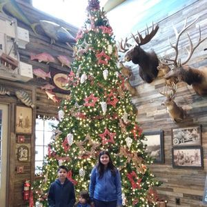 Meet your Posher, Stacy